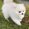 dear.zia Altpins Profile Picture