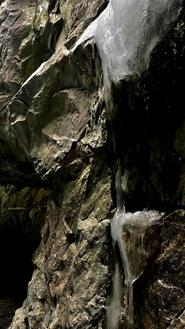 vvelum_ archive image