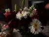 gissell_eli Altpins Profile Picture