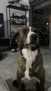 paula_valentina_gomez Altpins Profile Picture