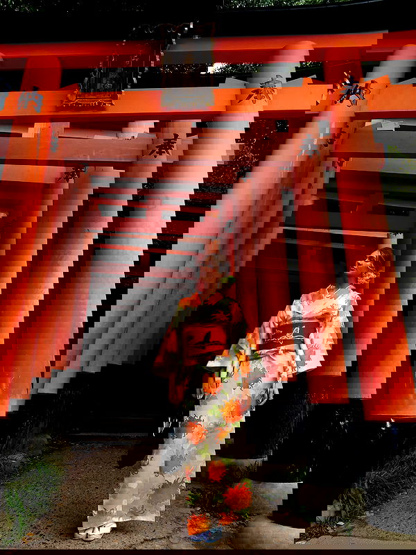 taylor.creeden taylor.creeden archive image