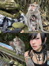 biohazard.g1rl Altpins Profile Picture