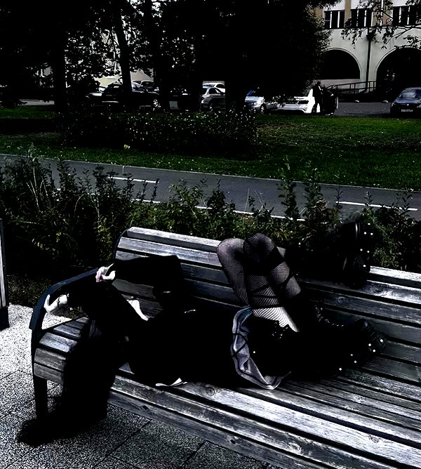 amanitalis instagram image archive image