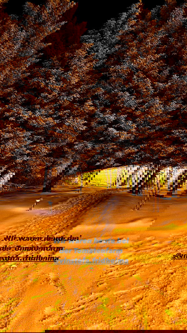 alexis.blond alexis.blond archive image