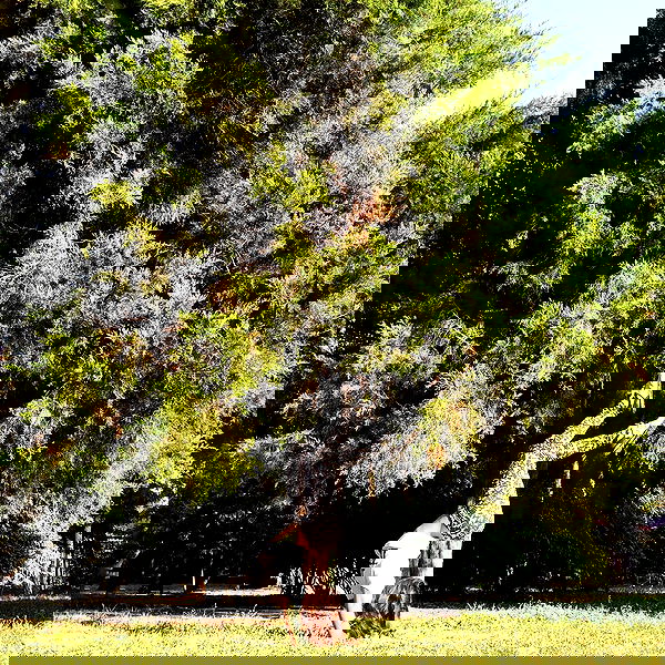 kkulakovaa image ~ Altpins