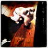 ashleybenson Altpins Profile Picture