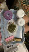 teakitten_ Altpins Profile Picture