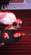 noy.razz Altpins Profile Picture