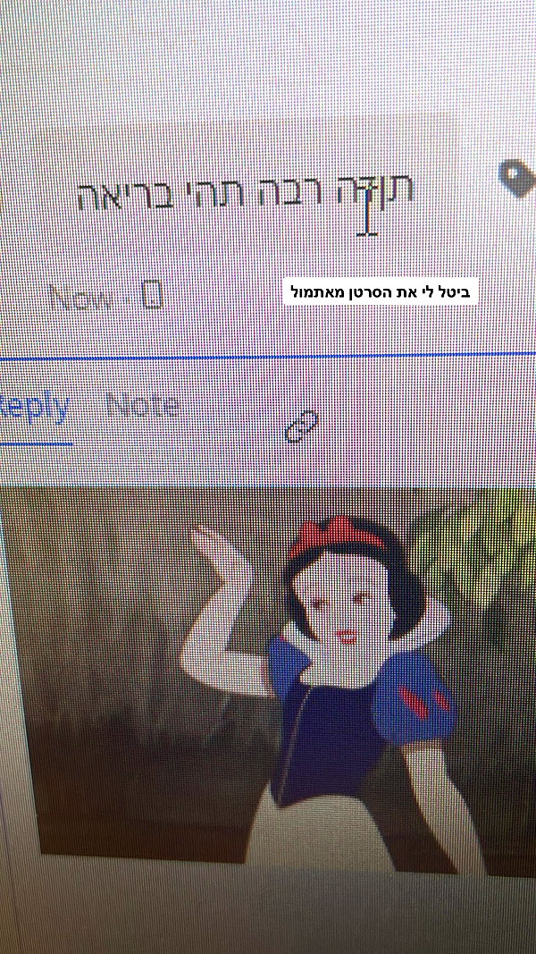 noasoophia instagram image archive image