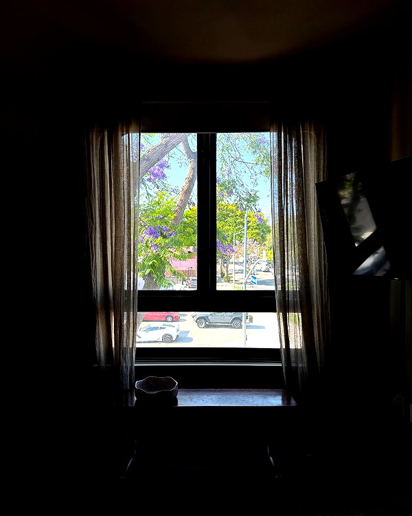 daxbin instagram image archive image