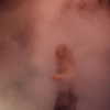 shakira Altpins Profile Picture