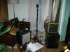 bugz4brainz Altpins Profile Picture