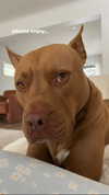 olivia.mathers Altpins Profile Picture