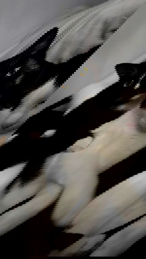 6nattynat9 6nattynat9 archive image