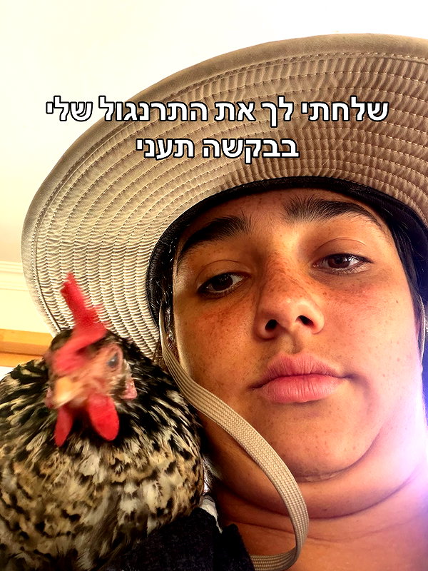 yuval_raz instagram image archive image