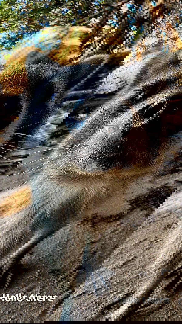 biton__adi biton__adi archive image