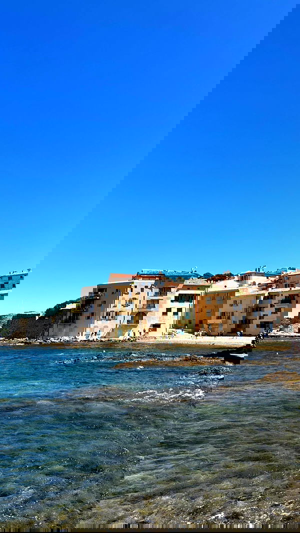 taylor.creeden taylor.creeden archive image