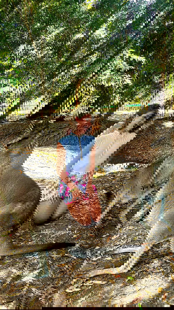 taylor.creeden taylor.creeden archive image