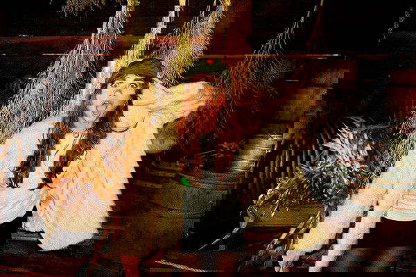 haylujan haylujan archive image