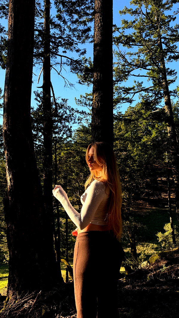 carolinezalog carolinezalog archive image