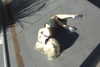 amellliiaa Altpins Profile Picture
