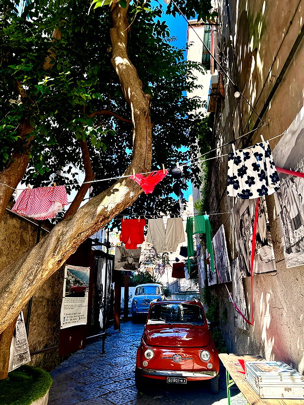 michalcohen___ instagram image archive image
