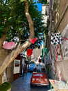 michalcohen___ Altpins Profile Picture