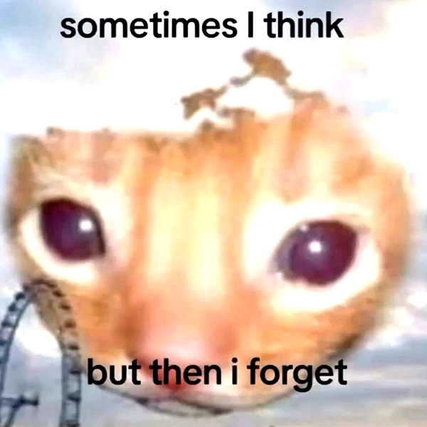 sashasucc instagram image archive image