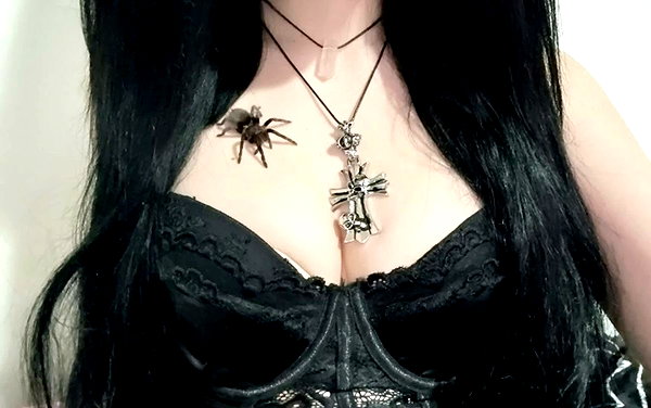 svcriligiosa instagram image archive image