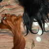madelame Altpins Profile Picture