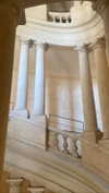 federica.piccinni Altpins Profile Picture