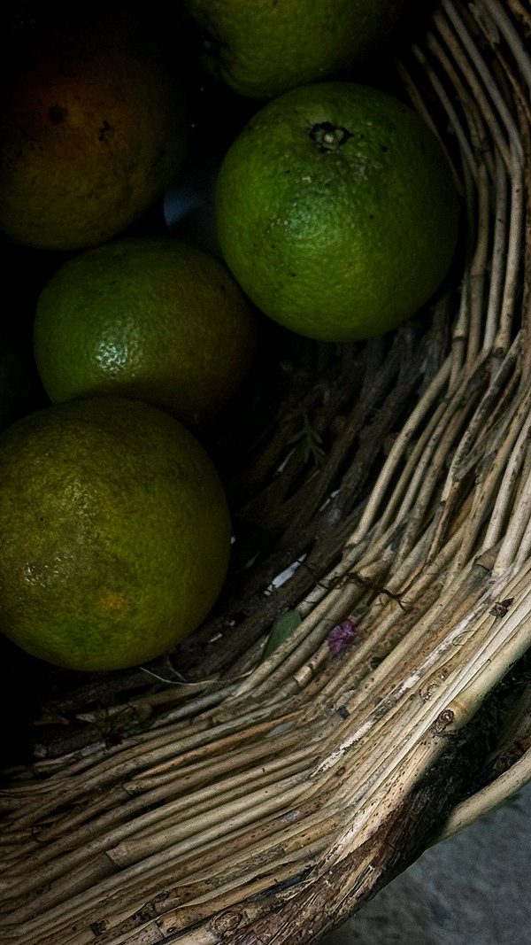 arabelladourado archive image
