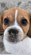 kyla.doddsss Altpins Profile Picture