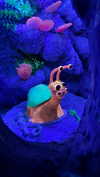 blossom_in_my_moonlight Altpins Profile Picture