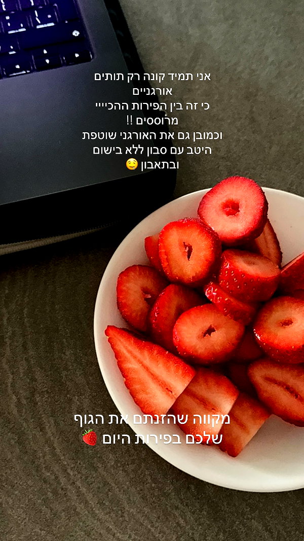 lital.oss instagram image archive image
