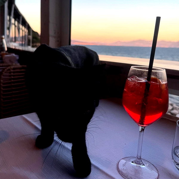 dualipa instagram image archive image