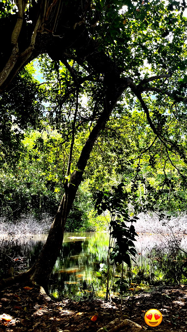 pokrov90 instagram image archive image