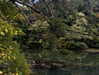 m1lkh8club Altpins Profile Picture