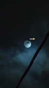 _._dianush._ Altpins Profile Picture