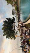 pia__kim Altpins Profile Picture