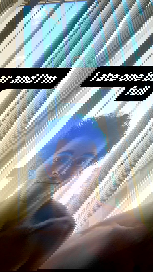 swholeanimal swholeanimal archive image