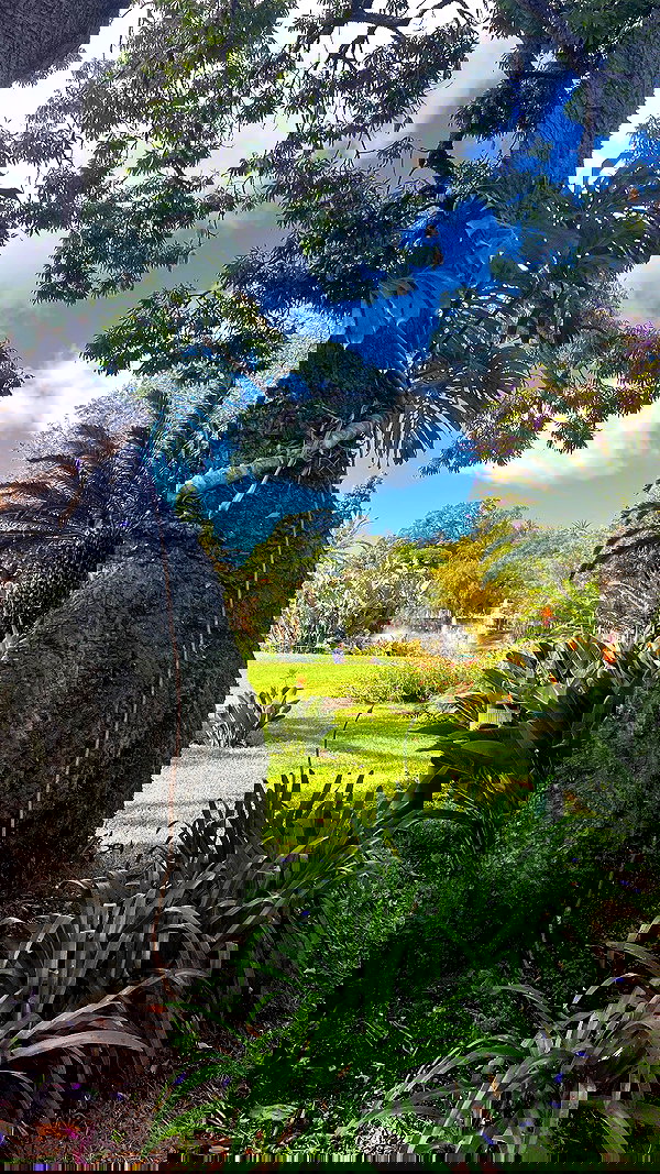 tamagotkri tamagotkri archive image