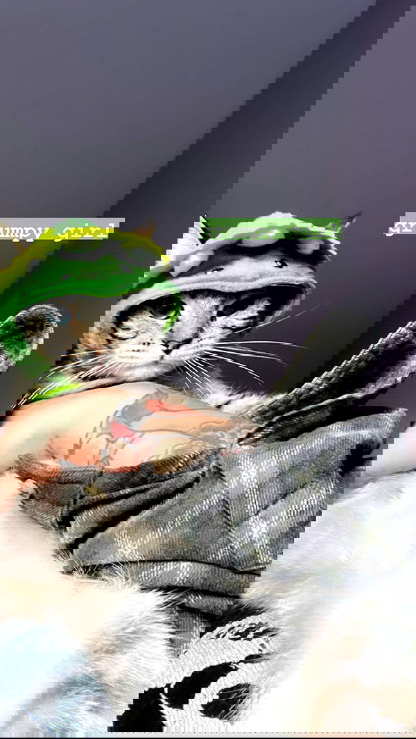 suikomuu suikomuu archive image