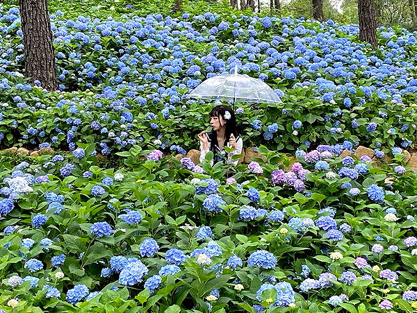 erokochiba instagram image archive image