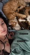 strawberryshans Altpins Profile Picture