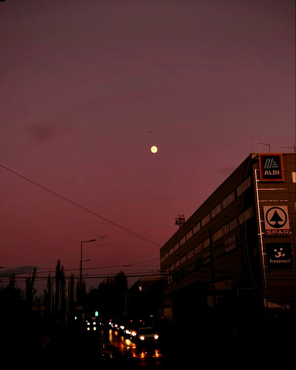 borkwsmh instagram image archive image