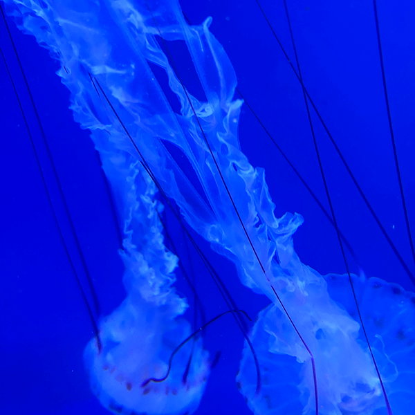_nunch1 instagram image archive image