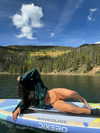 thelizzyporter Altpins Profile Picture