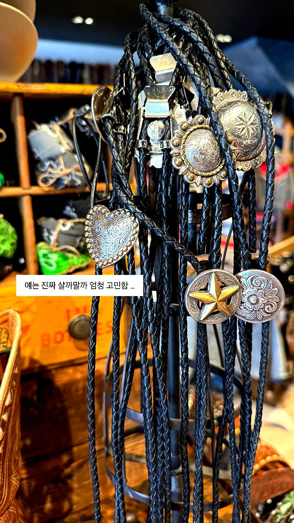 daxbin instagram image archive image