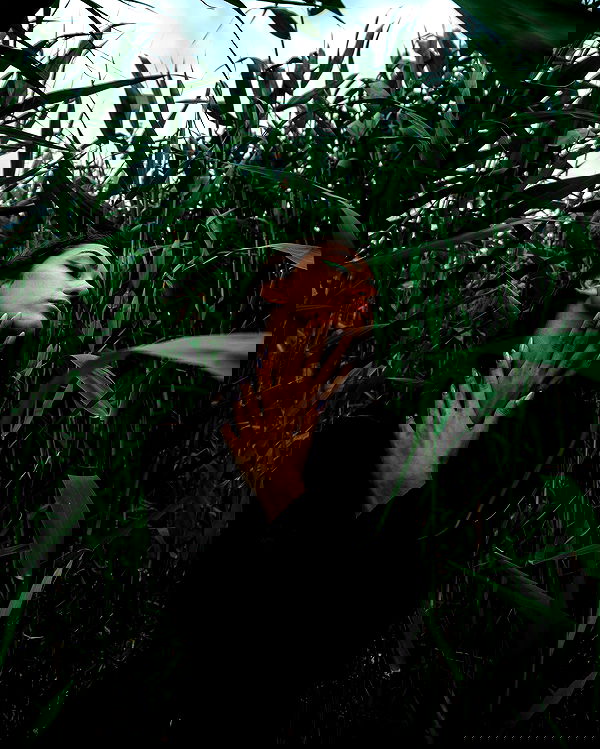 kkulakovaa image ~ Altpins